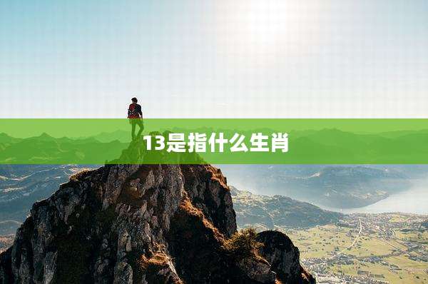 13是指什么生肖