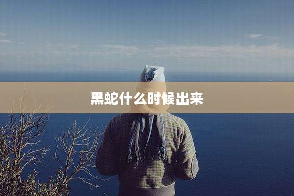 黑蛇什么时候出来