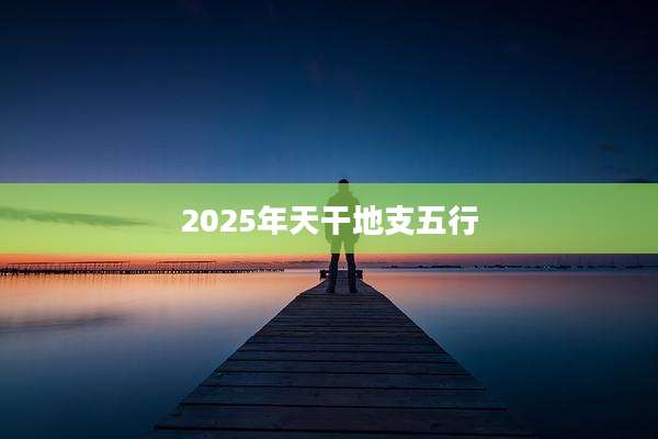2025年天干地支五行