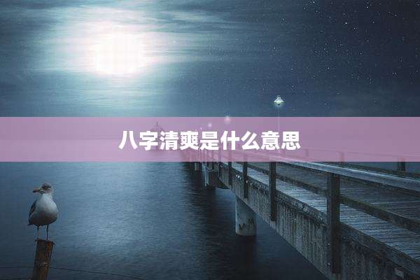 八字清爽是什么意思