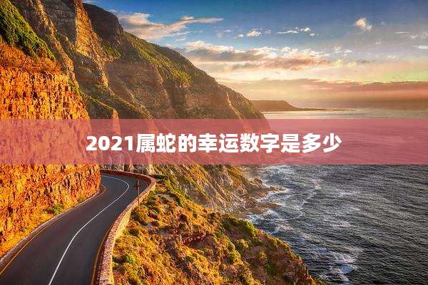 2021属蛇的幸运数字是多少