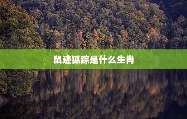 鼠迹狐踪是什么生肖