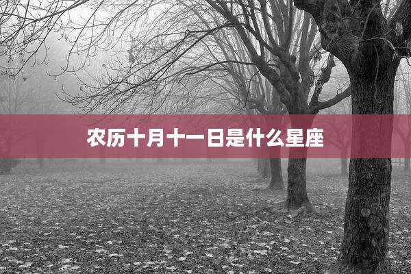 农历十月十一日是什么星座