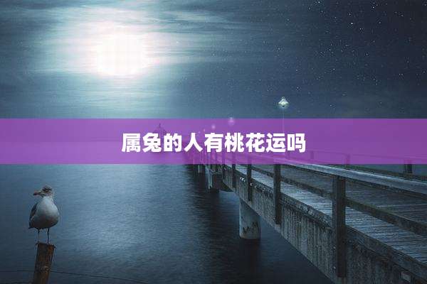 属兔的人有桃花运吗