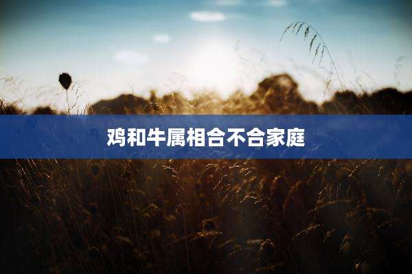 鸡和牛属相合不合家庭