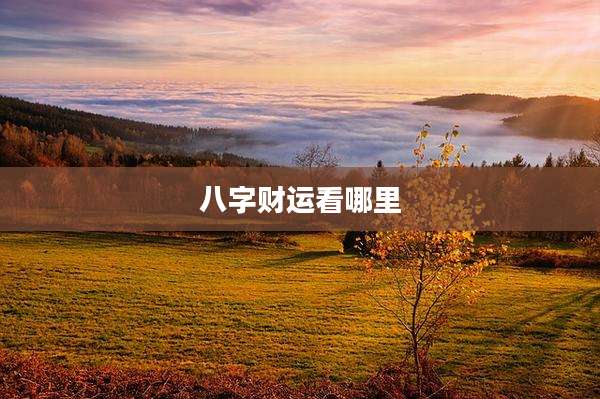八字财运看哪里