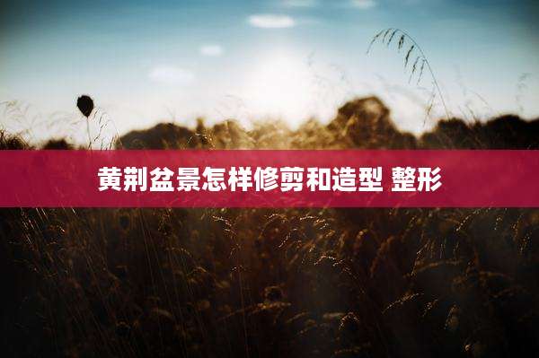 黄荆盆景怎样修剪和造型 整形