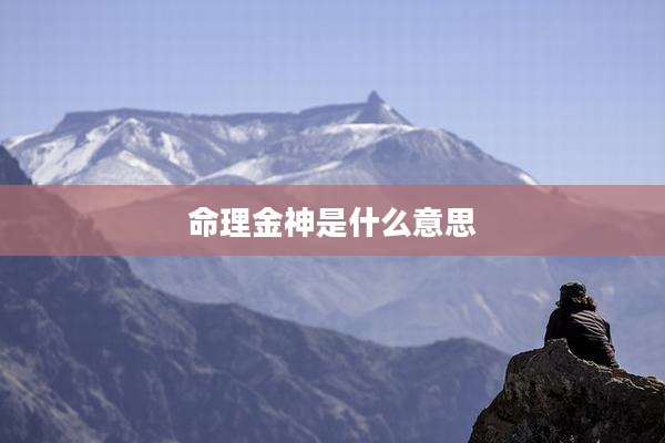 命理金神是什么意思