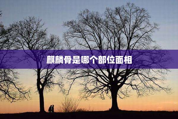 麒麟骨是哪个部位面相