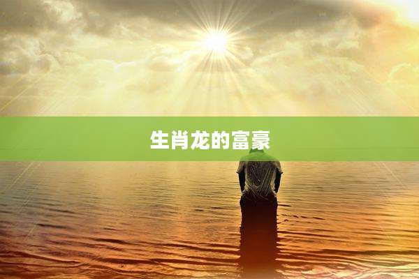生肖龙的富豪