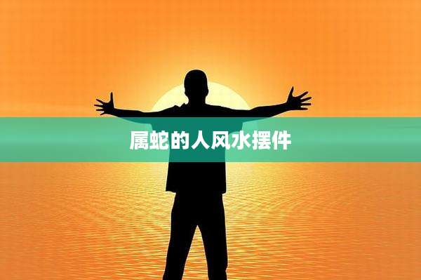 属蛇的人风水摆件