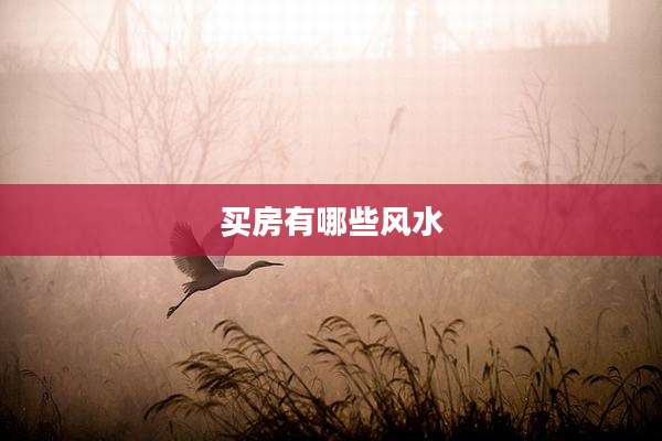 买房有哪些风水