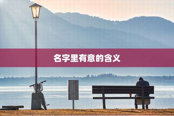 名字里有意的含义