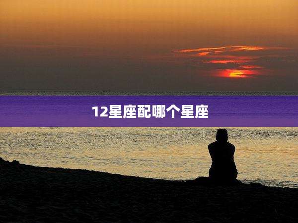 12星座配哪个星座