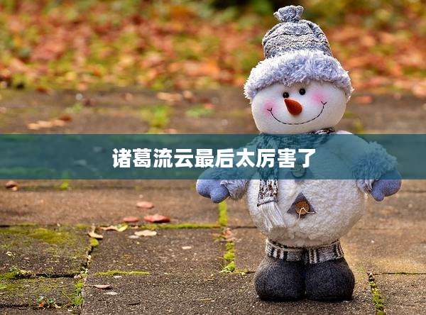 诸葛流云最后太厉害了