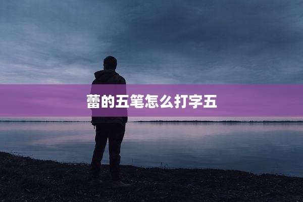 蕾的五笔怎么打字五