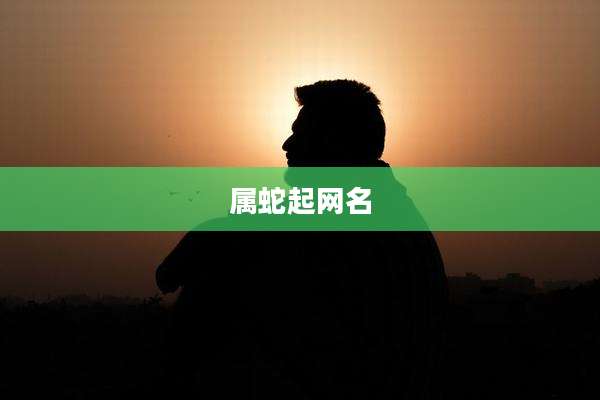 属蛇起网名