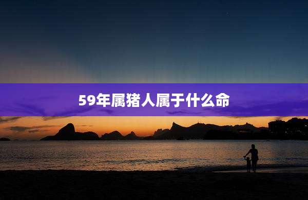 59年属猪人属于什么命