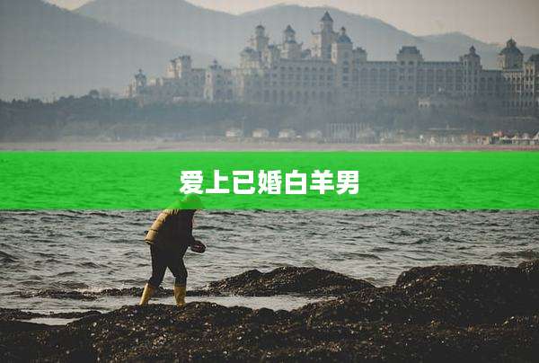 爱上已婚白羊男