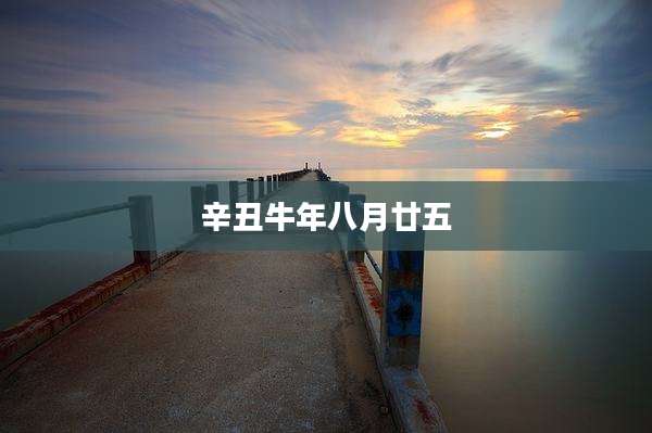 辛丑牛年八月廿五