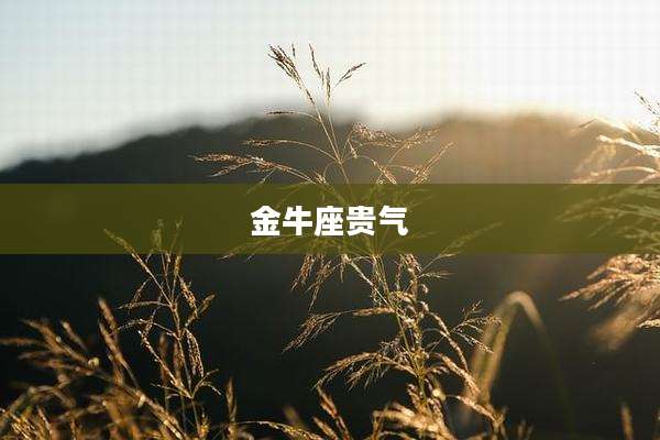 金牛座贵气