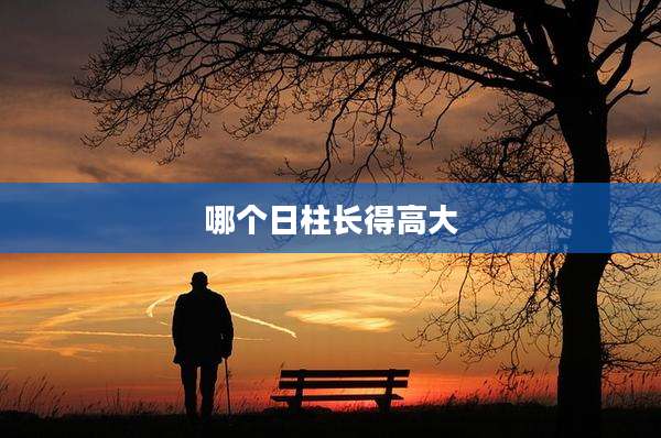 哪个日柱长得高大