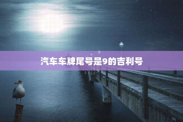 汽车车牌尾号是9的吉利号