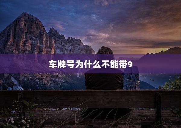 车牌号为什么不能带9