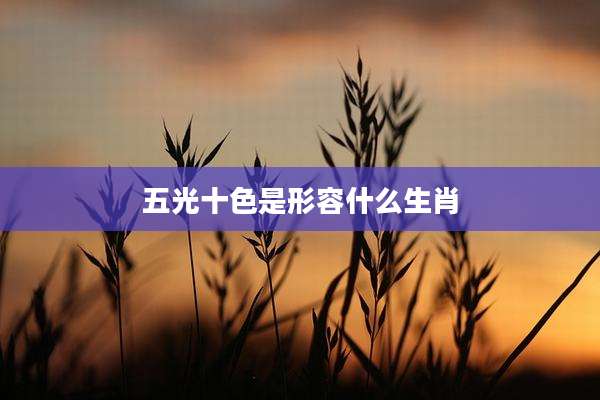 五光十色是形容什么生肖