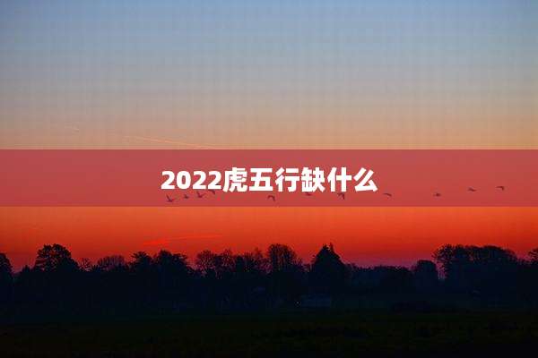 2022虎五行缺什么