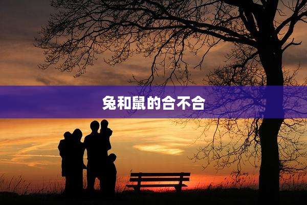 兔和鼠的合不合