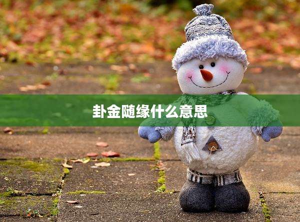 卦金随缘什么意思