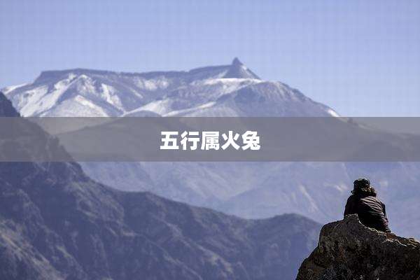 五行属火兔