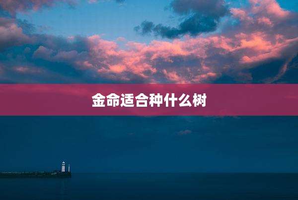 金命适合种什么树