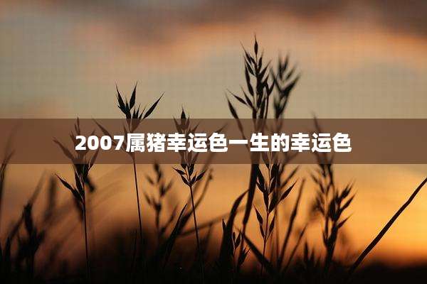 2007属猪幸运色一生的幸运色