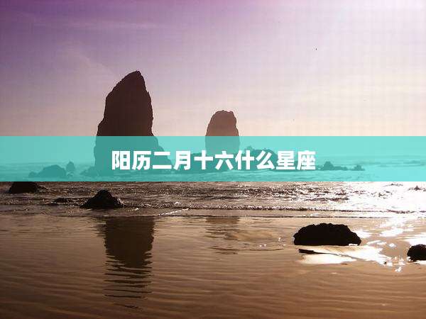 阳历二月十六什么星座