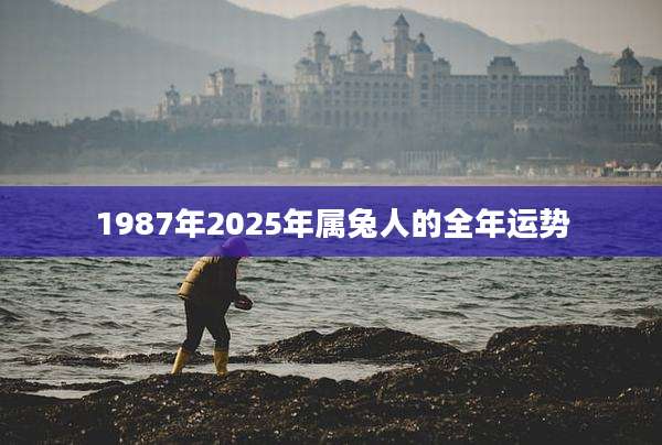 1987年2025年属兔人的全年运势