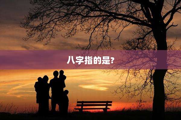 八字指的是?