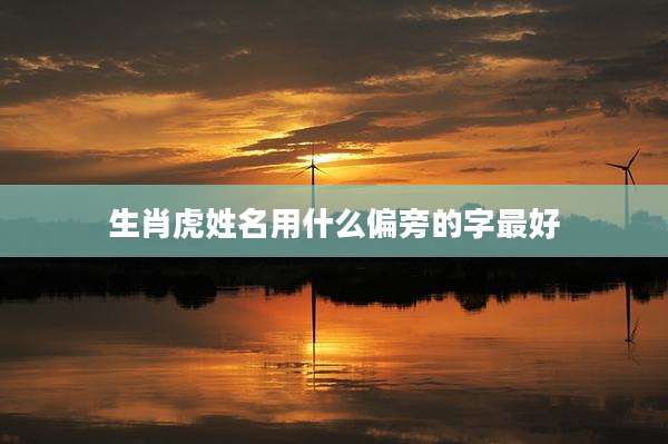 生肖虎姓名用什么偏旁的字最好