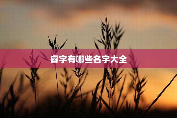 睿字有哪些名字大全
