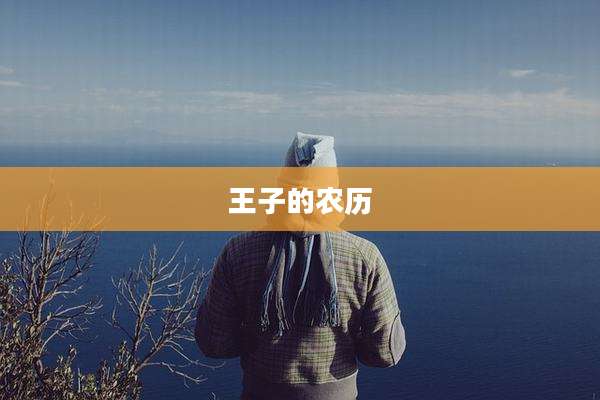 王子的农历
