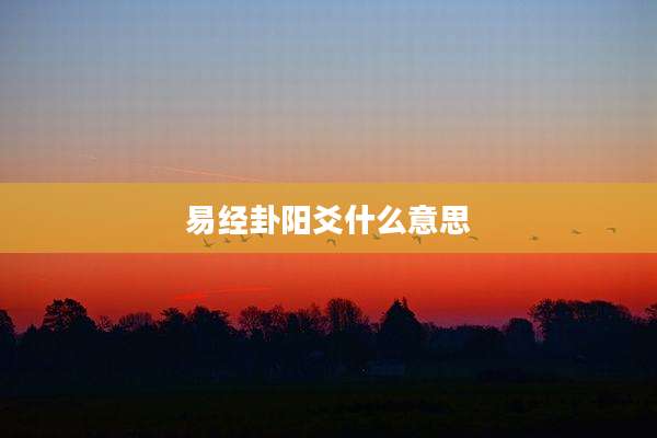 易经卦阳爻什么意思