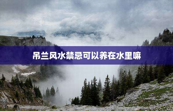 吊兰风水禁忌可以养在水里嘛