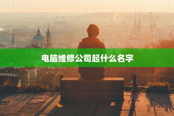 电脑维修公司起什么名字