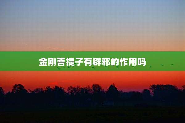 金刚菩提子有辟邪的作用吗