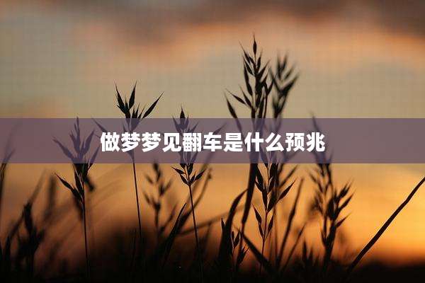 做梦梦见翻车是什么预兆