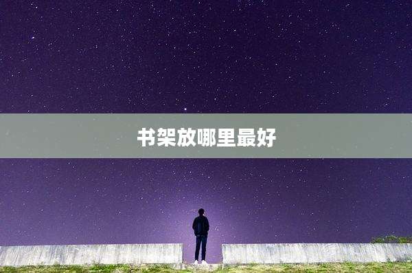 书架放哪里最好