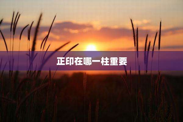 正印在哪一柱重要