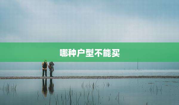 哪种户型不能买
