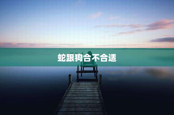 蛇跟狗合不合适